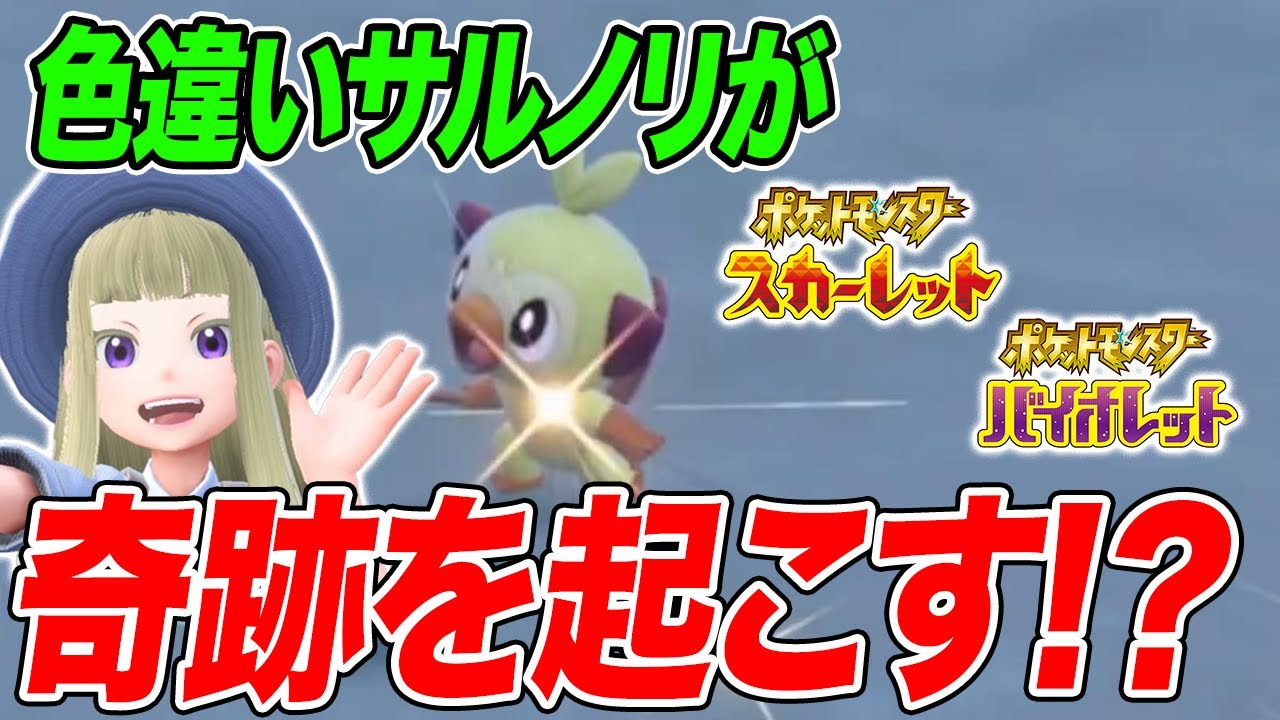 【ポケモンSV】色違いのサルノリ捕獲失敗！？と思いきや直後に奇跡を起こす【スカーレットバイオレット/スカバイ】