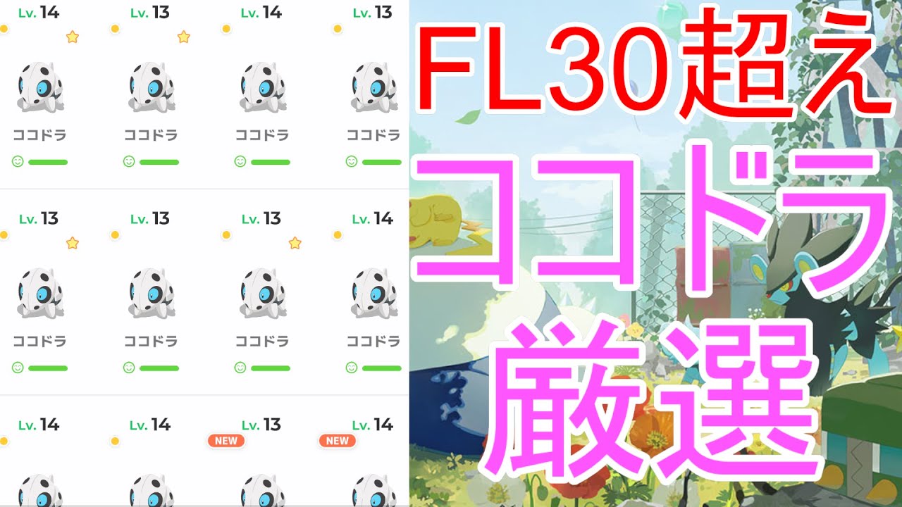 【ポケモンスリープ】3日分の睡眠リサーチ、ココドラ乱獲スペシャル