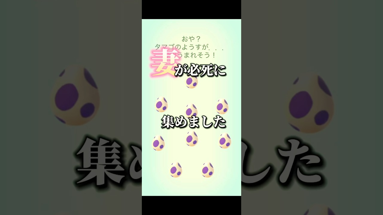 【驚天動地】色違いメラルバ狙いで妻が舞う【ポケモンGO】#ポケモンgo #ポケgo #pokemongo #コミュニティデイ　#コミュデイ　#ヒノアラシ　#キラ交換　#個体値100 #shorts