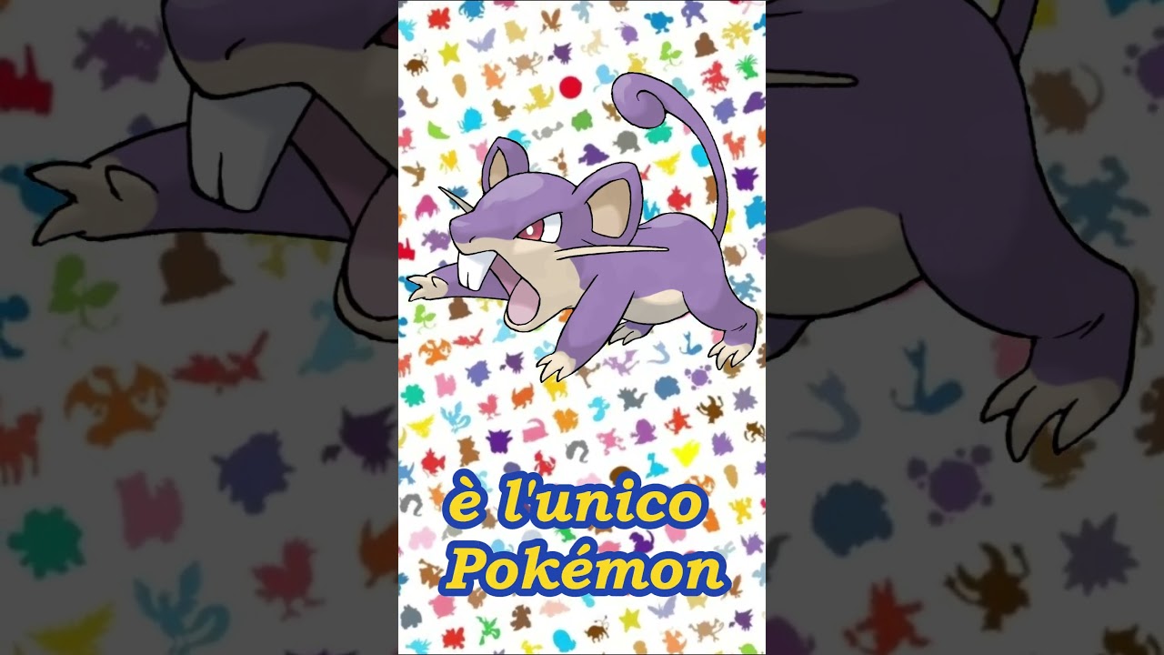 Sfatando leggende Metropolitane... Rattata, Raticate e Forme Alola in 1 Minuto! #pokemon