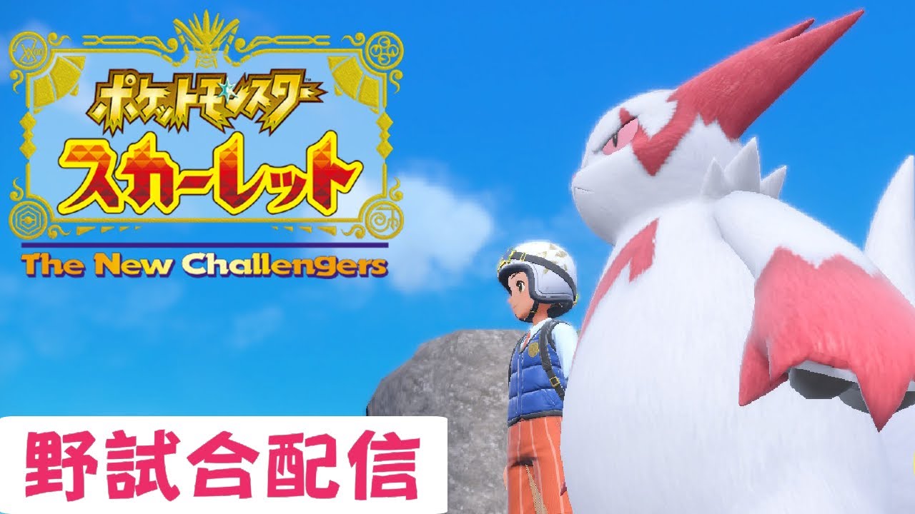 ｢ポケモン スカーレット｣ ～その 56  野試合配信【ザングースたちのスパーリング】