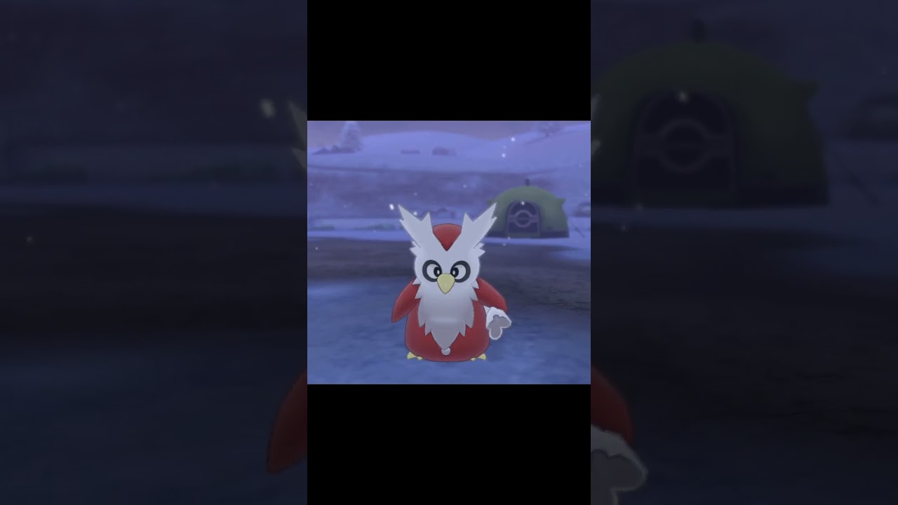 飛んでくるデリバード　#Shorts