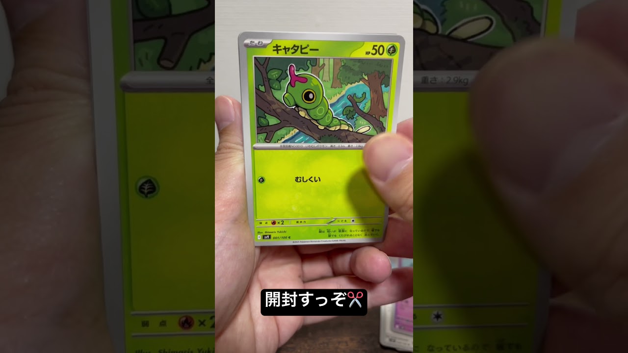 そっちのマルマインね😏#ポケカ #ポケモンカード #ポケモン #pokemon