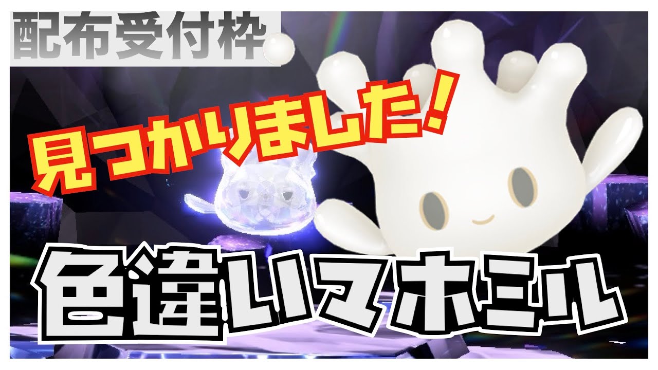 【配布準備枠】色違いマホミル（28限目）補講～用意する数を把握したい～  #ポケモンsv 　#pokemon