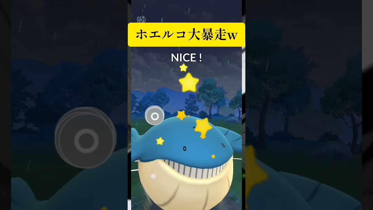 高級魚ホエルコの暴走！！