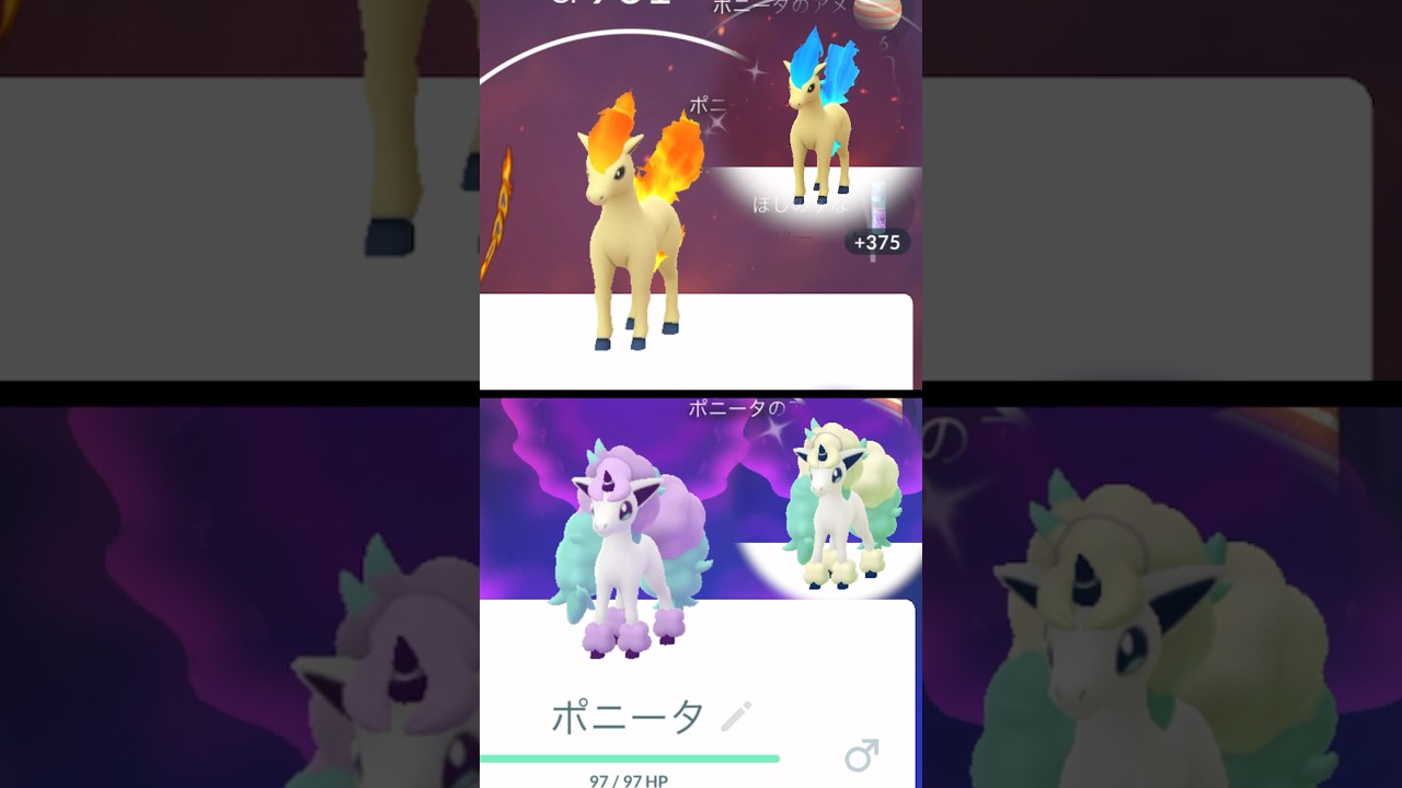 【ポケモンGO】ポニータコミュニティ・デイ！#ポケモン #ポケモンgo #ポケモンsv #ポケgo #pokemon #色違い