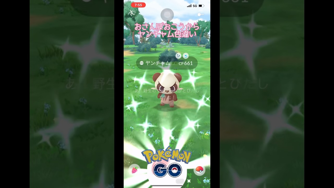 【ポケモンGO】おさんぽおこうからヤンチャム色違い#ポケモンgo
