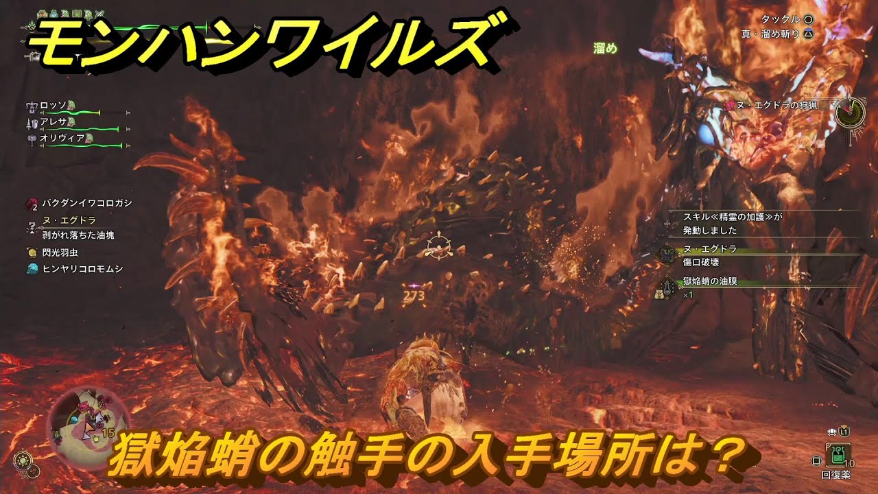 モンハンワイルズ　獄焔蛸の触手の入手場所は？　武器・防具素材集め入手方法　＃２９０　【モンスターハンターワイルズ】