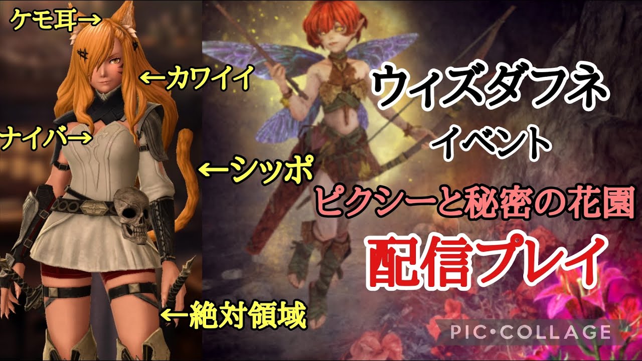 【PC版】ウィズダフネ イベント ピクシーと秘密の花園配信プレイ ウィザードリィダフネ