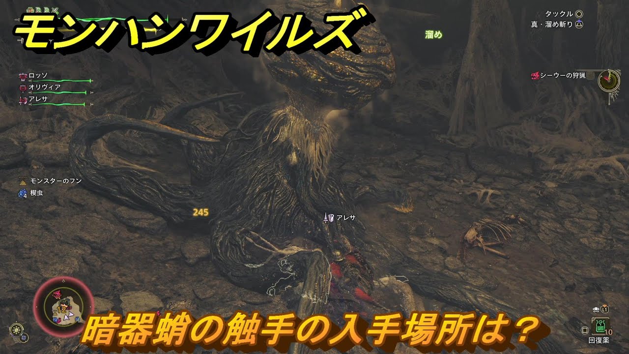モンハンワイルズ　暗器蛸の触手の入手場所は？　武器・防具素材集め入手方法　＃３１６　【モンスターハンターワイルズ】