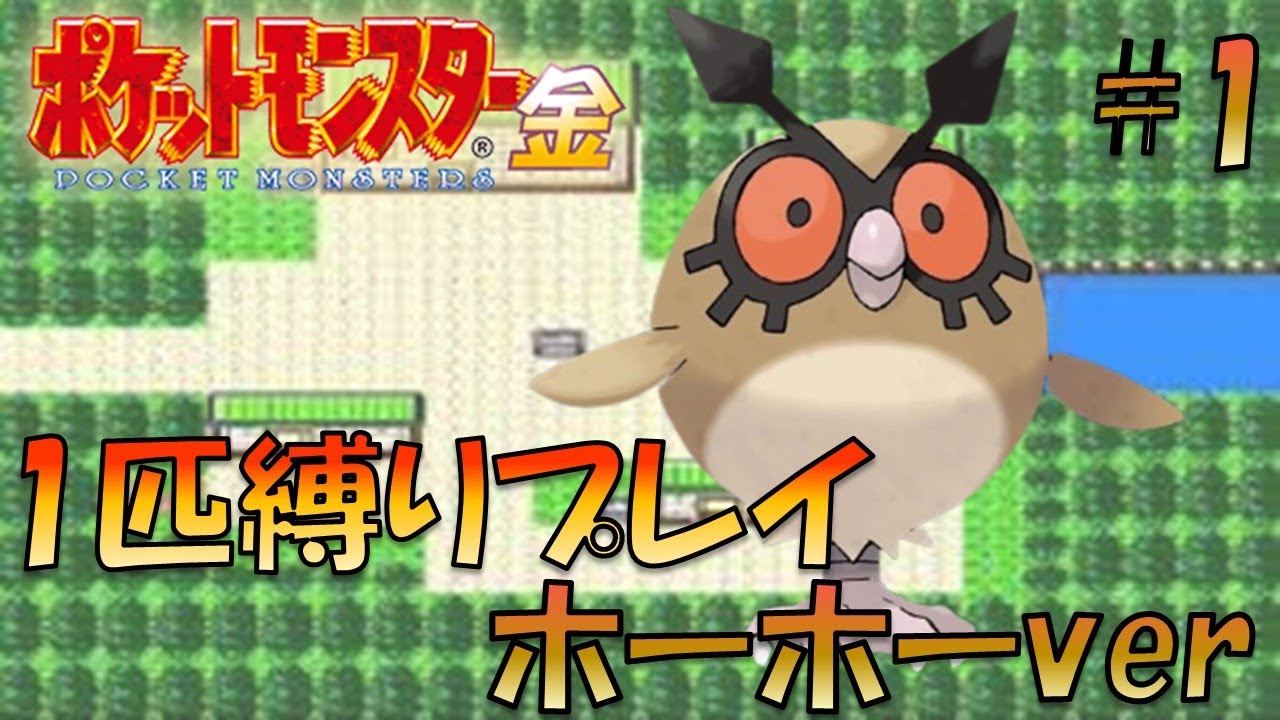 【ポケモン金銀】ポケモン1匹縛りプレイ!!ホーホーきみに決めた！part1【ゲーム実況】【縛りプレイ】