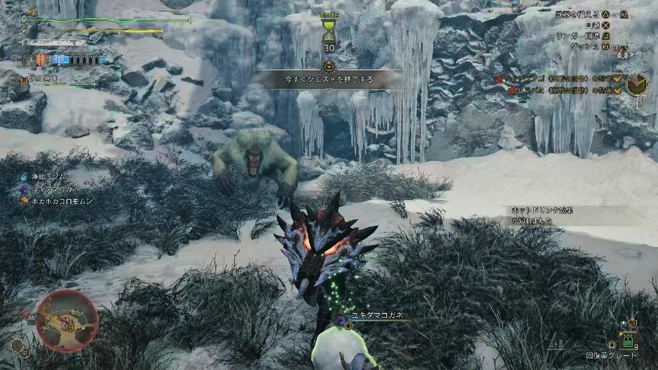 Monster Hunter Wilds_20250309210642