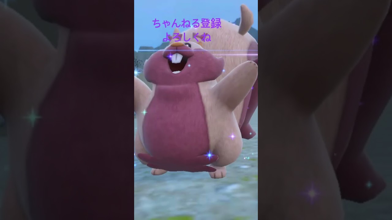 色違いホシガリス進化！ #ポケモン #色違いポケモン #ポケモンsv