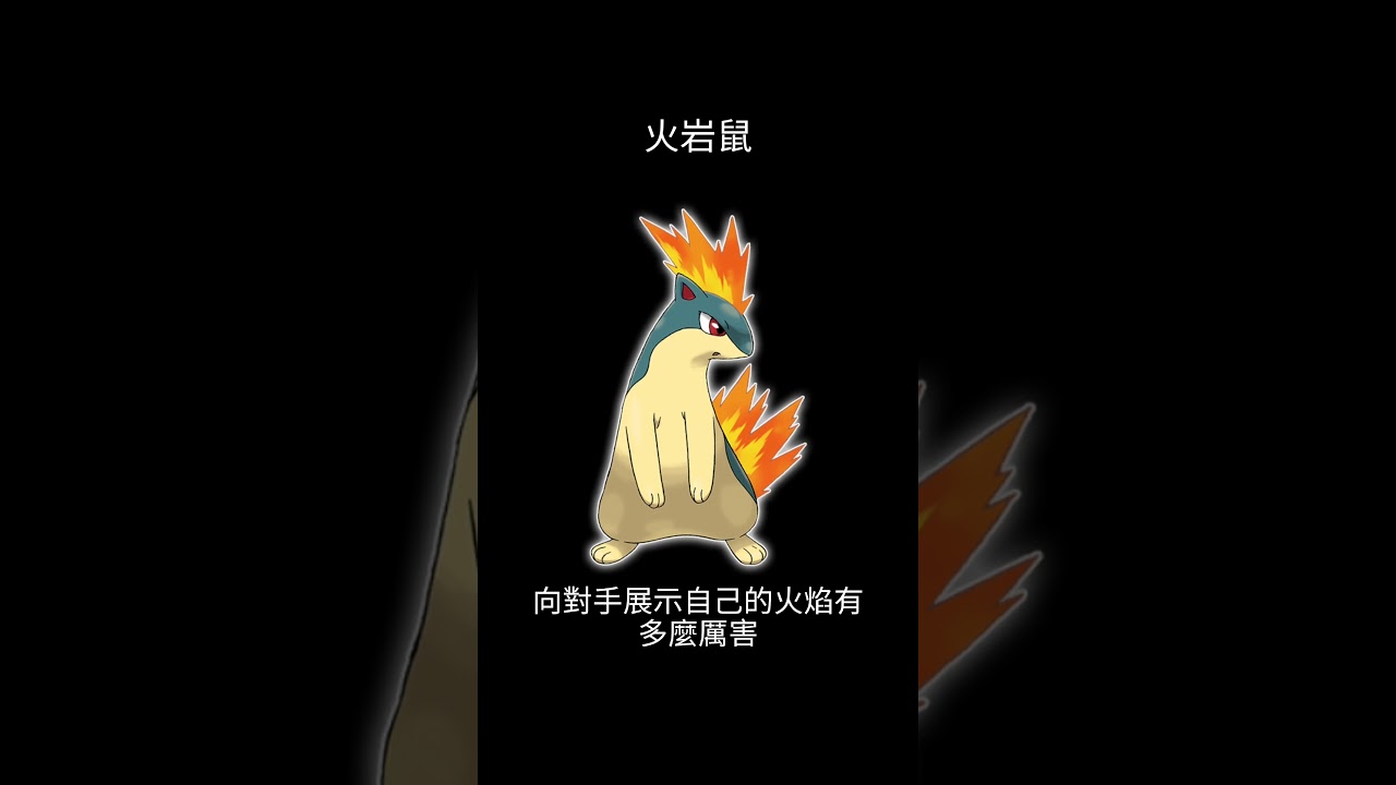 寶可夢圖鑑 #pokemon No.0156 火岩鼠 マグマラシ Quilava #0156 #寶可夢卡牌 #pokemongo  #寶可夢朱紫 #寶可夢 #shorts #第二世代 #神奇寶貝