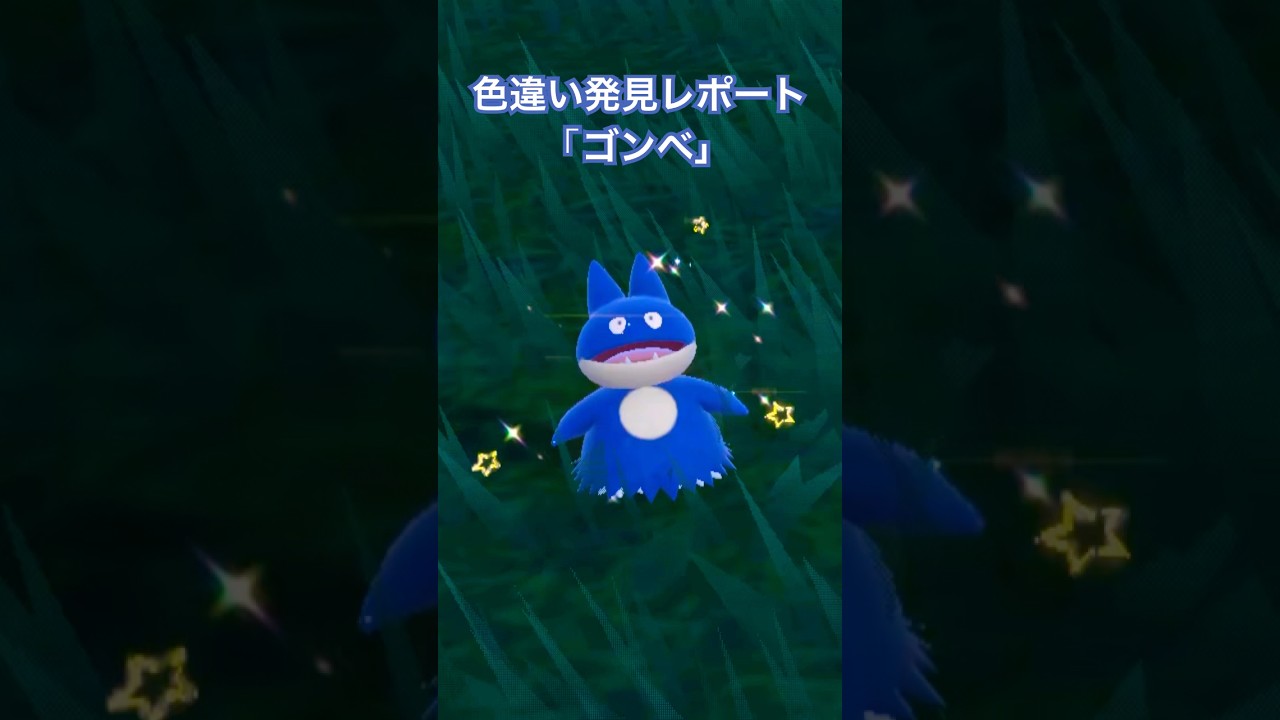 ポケモンSV 色違い発見レポート「ゴンベ」 #ポケモンsv #色違いポケモン #shinypokemon