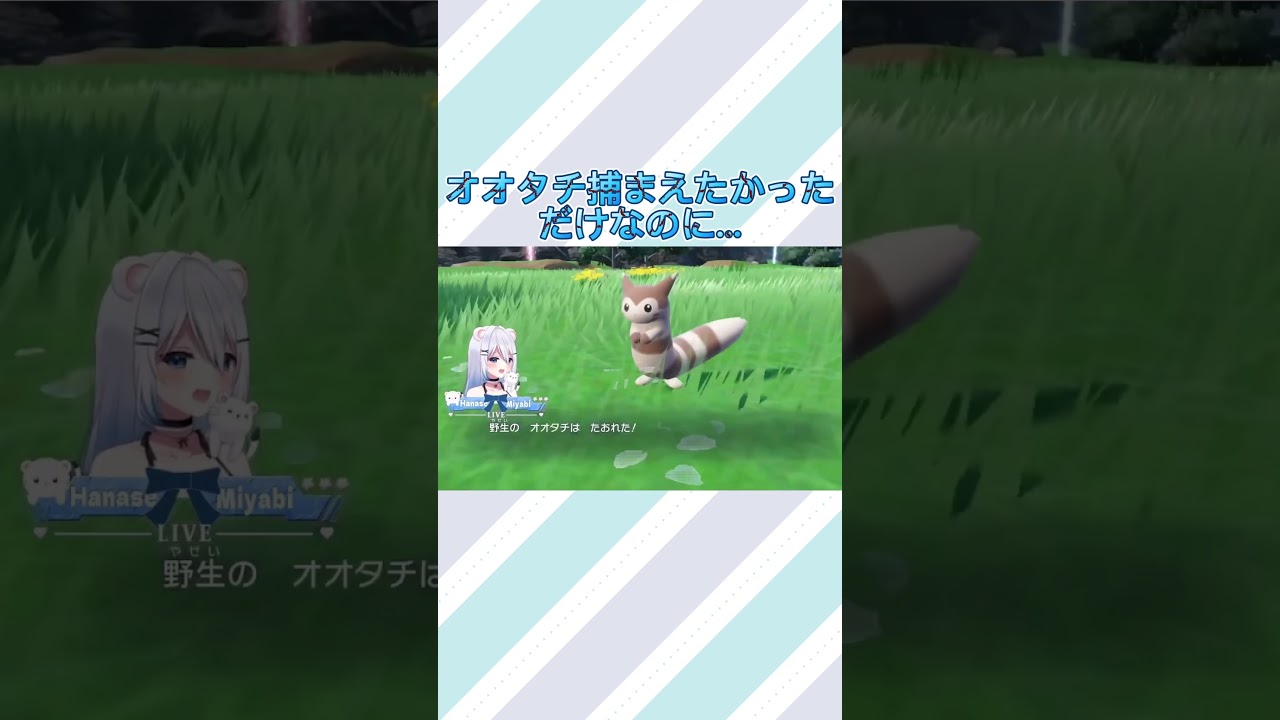 オオタチ可愛いよね…… #新人vtuber #vtuber #ポケモンsv