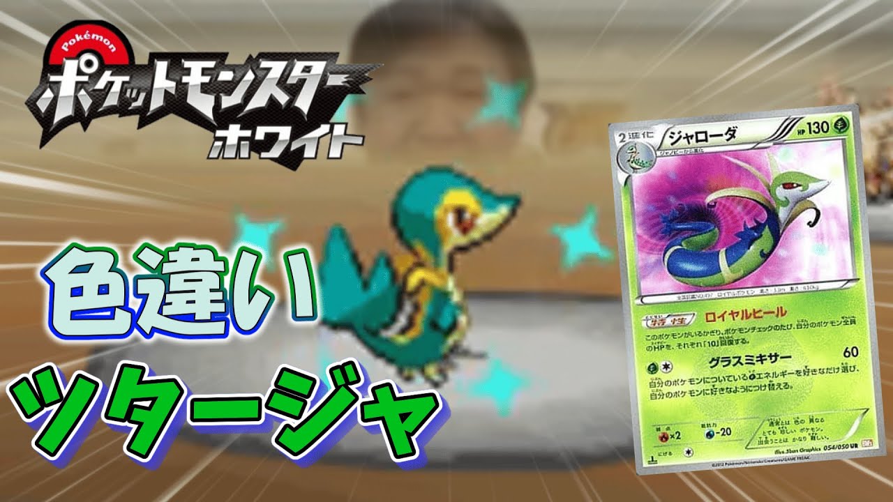 【ポケモンＢＷ】色違いツタージャＧＥＴ（ゆっくり実況）
