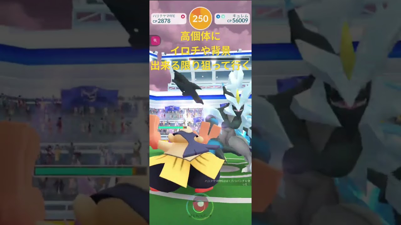 【ポケモンGO】ブラックキュレム リモパで参戦 何戦やれか分からないけど狙って行く😎 #ポケモンgo #pokemongo #ブラックキュレム
