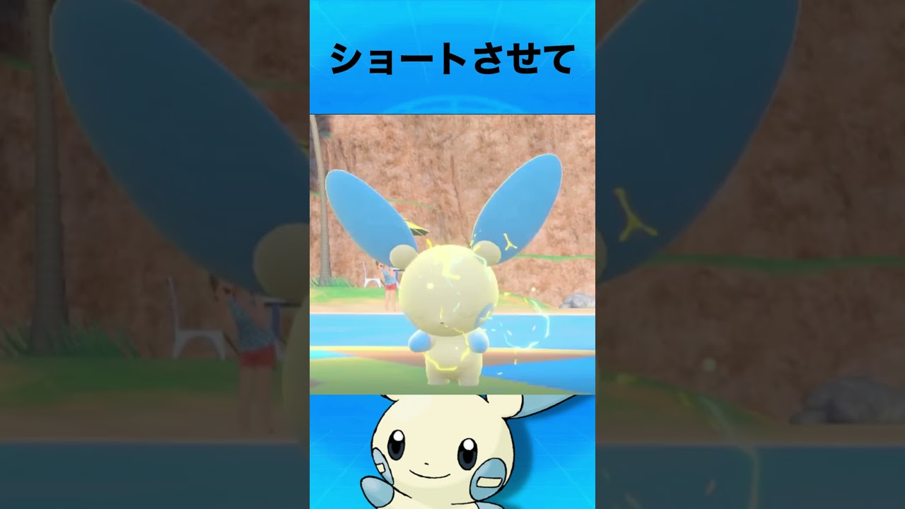 マイナンについて #ポケモン #マイナン