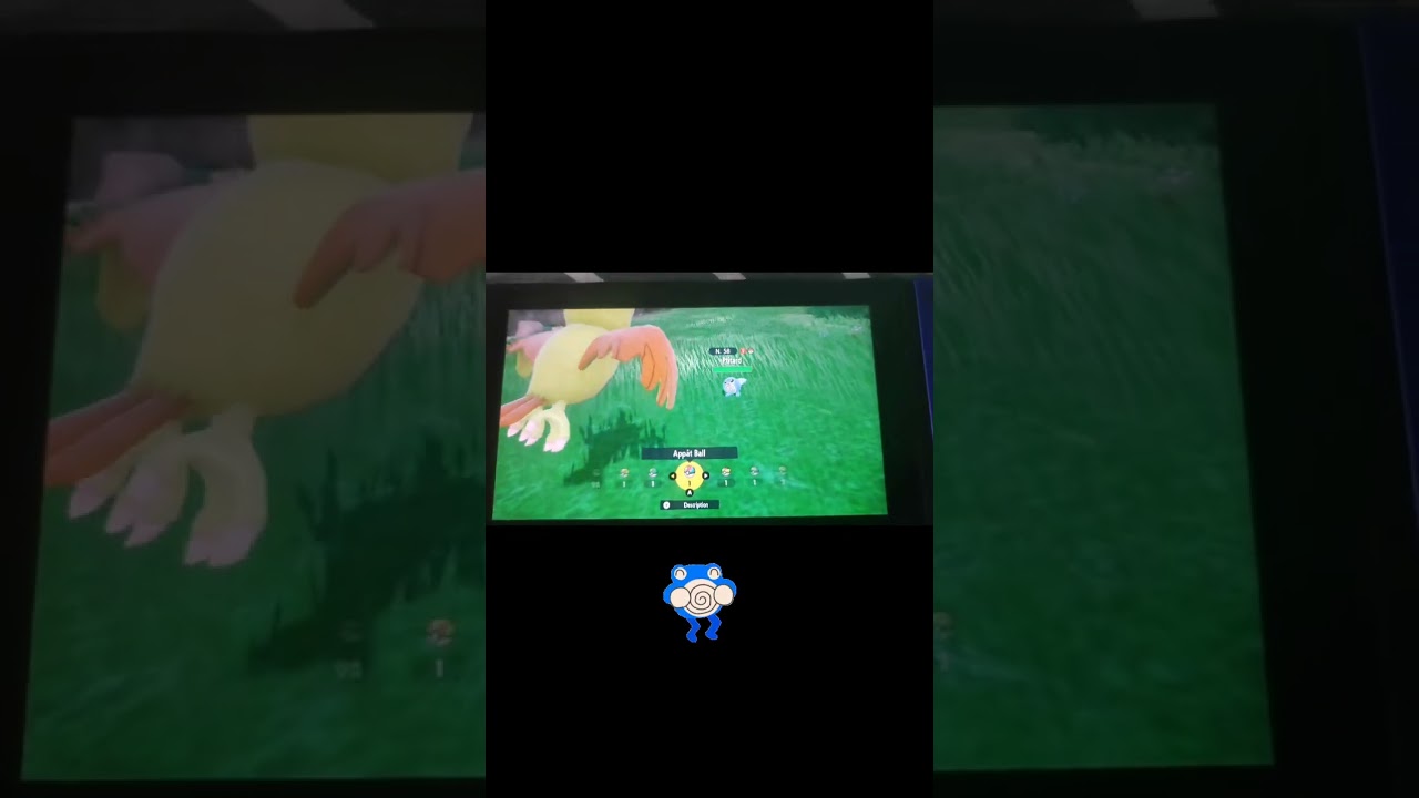 Pokémon violet: Ptitard shiny. #pokemonshiny #pokemon #shinypokemon #pokemonviolet