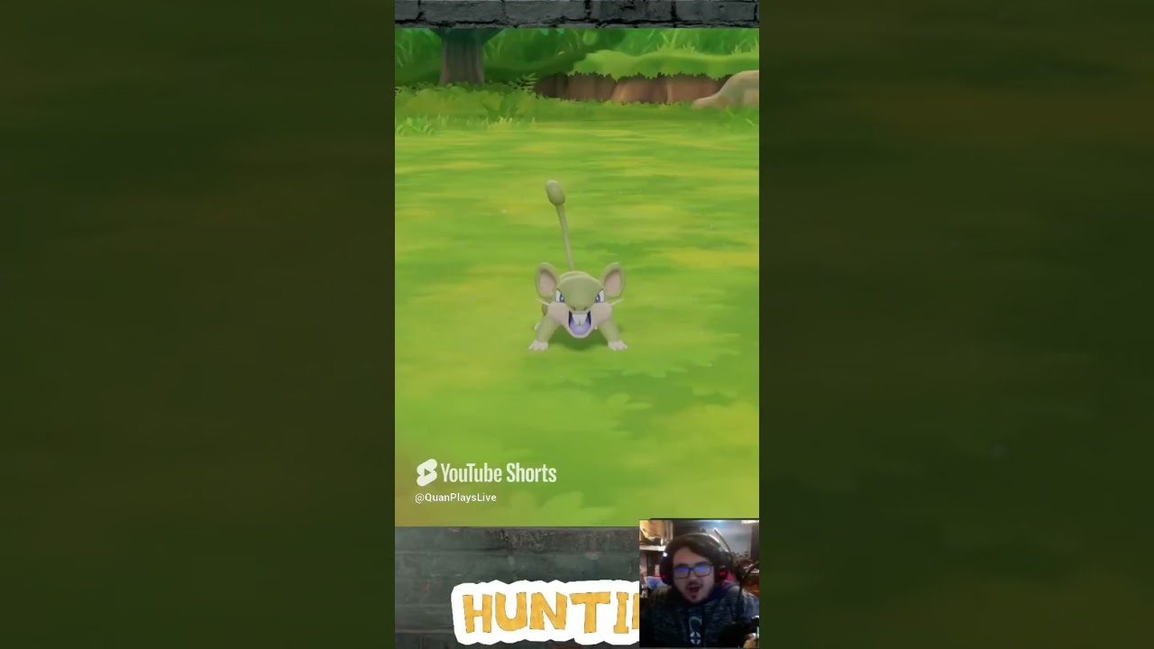 Shiny Rattata ♀ | 03/10/2025 | #shinypokemon #pokémonletsgoeevee #gaming