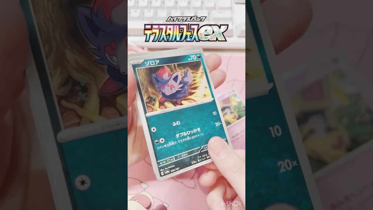 ゾロアも可愛い#ポケモンカード #ポケモン #ポケカ開封 #夜焚ひめ #vtuber #shorts