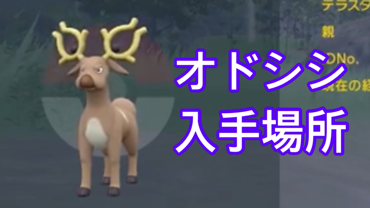 【ポケモンSV】【DLC】オドシシ入手場所