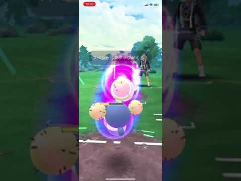 【スーパー】ワタッコ、ドラピオン、モルペコ　20250311 ポケモンgo