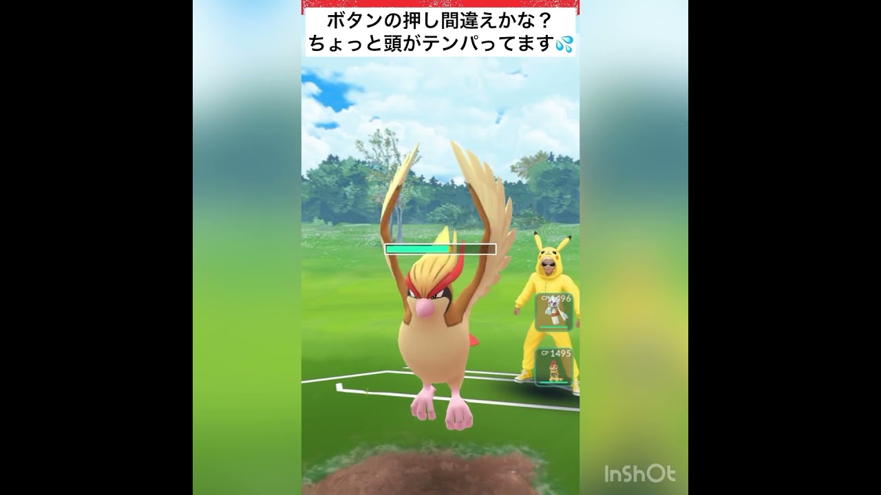 ユキメノコ一貫パーティーを発見‼️