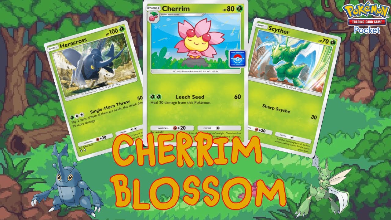 Can we WIN with CHERRIM? | Pokemon TCG Pocket