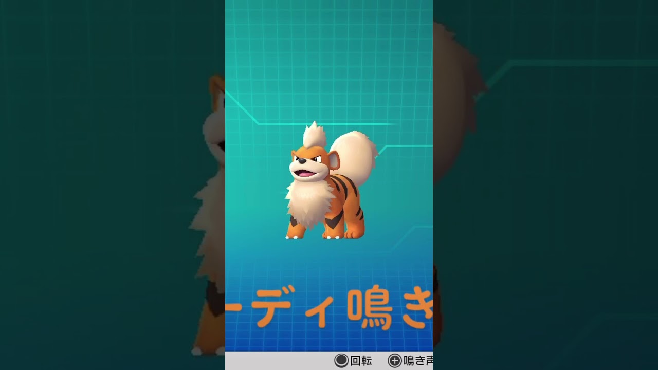 ピカブイ【図鑑NO058】ガーディ鳴き声#ポケモン動き #図鑑コンプ #レッツゴーピカチュウ #レッツゴーイーブイ