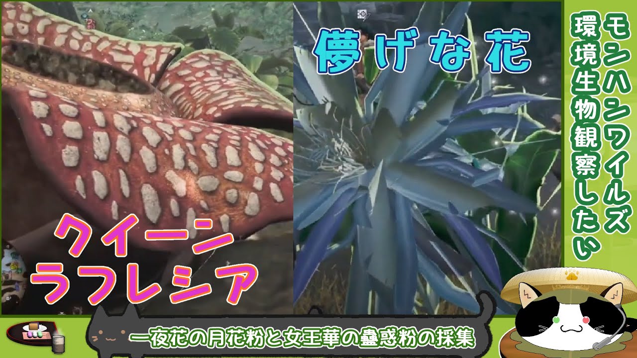 【環境生物観察】儚げな花とクイーンラフレシア【Monster Hunter Wilds・弓】［昼行灯］
