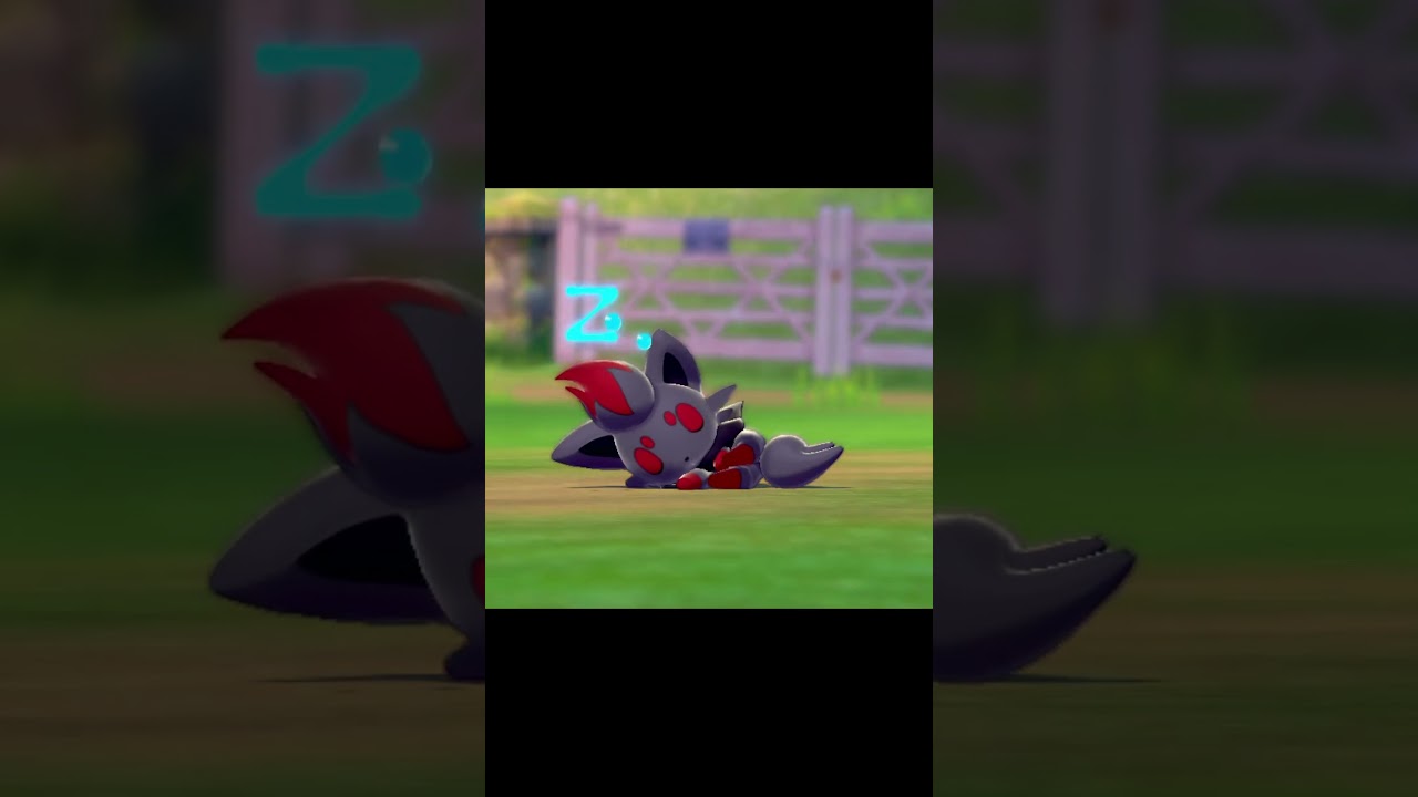 寝ているゾロア　#Shorts