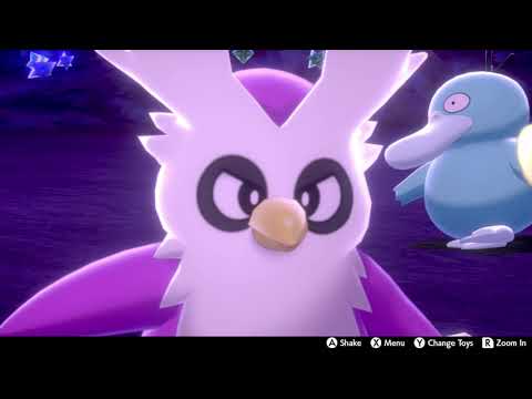 jim (shiny delibird) camping b-roll