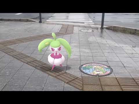 꼬마돌+달무리나 ( Geodude+Steenee ) イシツブテ+アママイコ ( 小拳石+甜舞妮 )  (16:9)