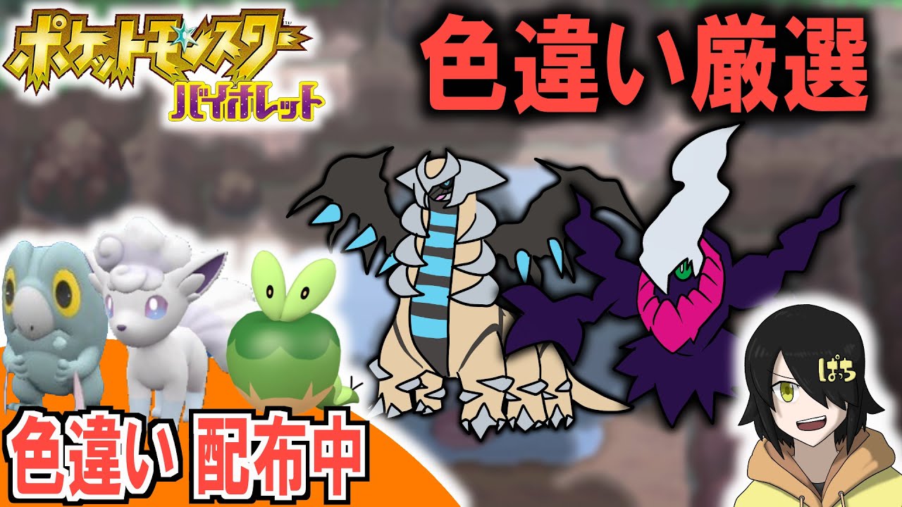 【SV色違い配布中】ダークライ色厳選 170時間め【どんぱち】