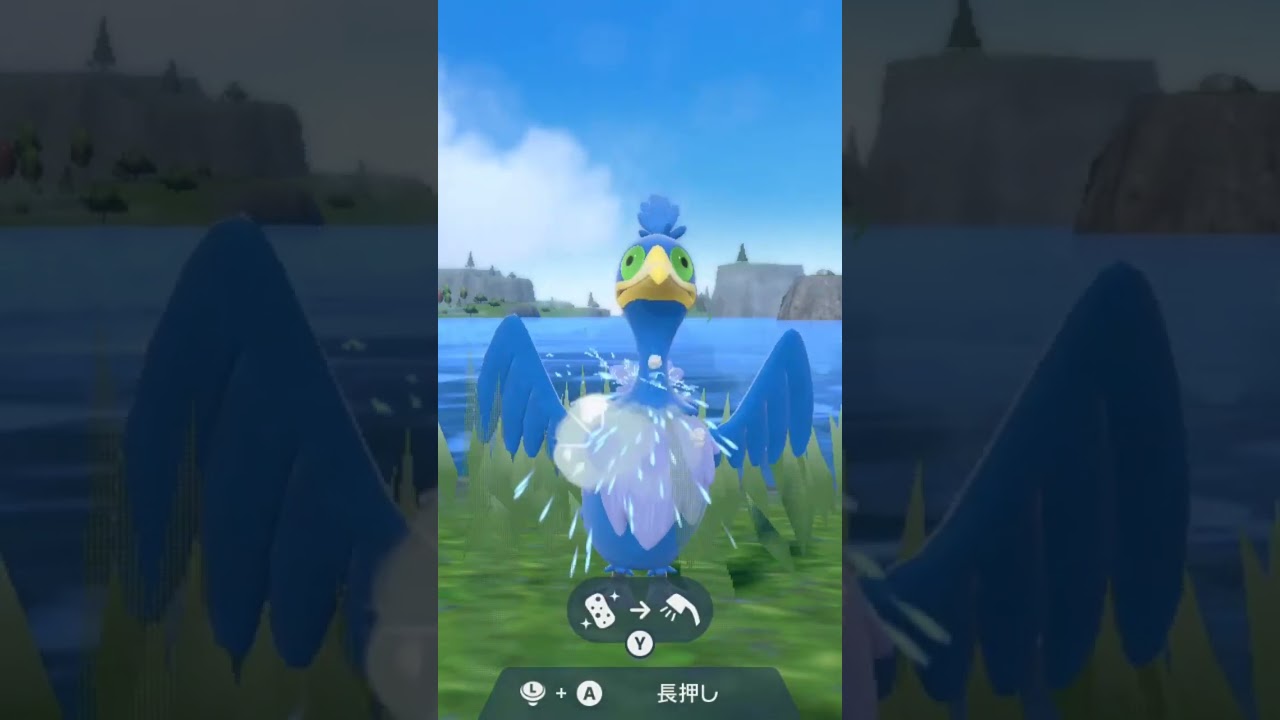ウッウ Cramorant【ポケモンsv】