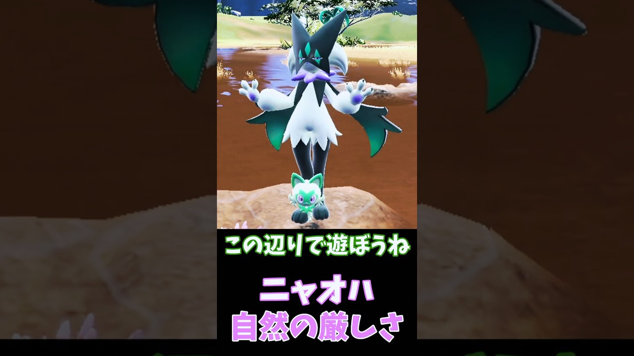 ニャオハ、楽しく水遊び→油断した結果🙀【ポケモンSV】　#shorts