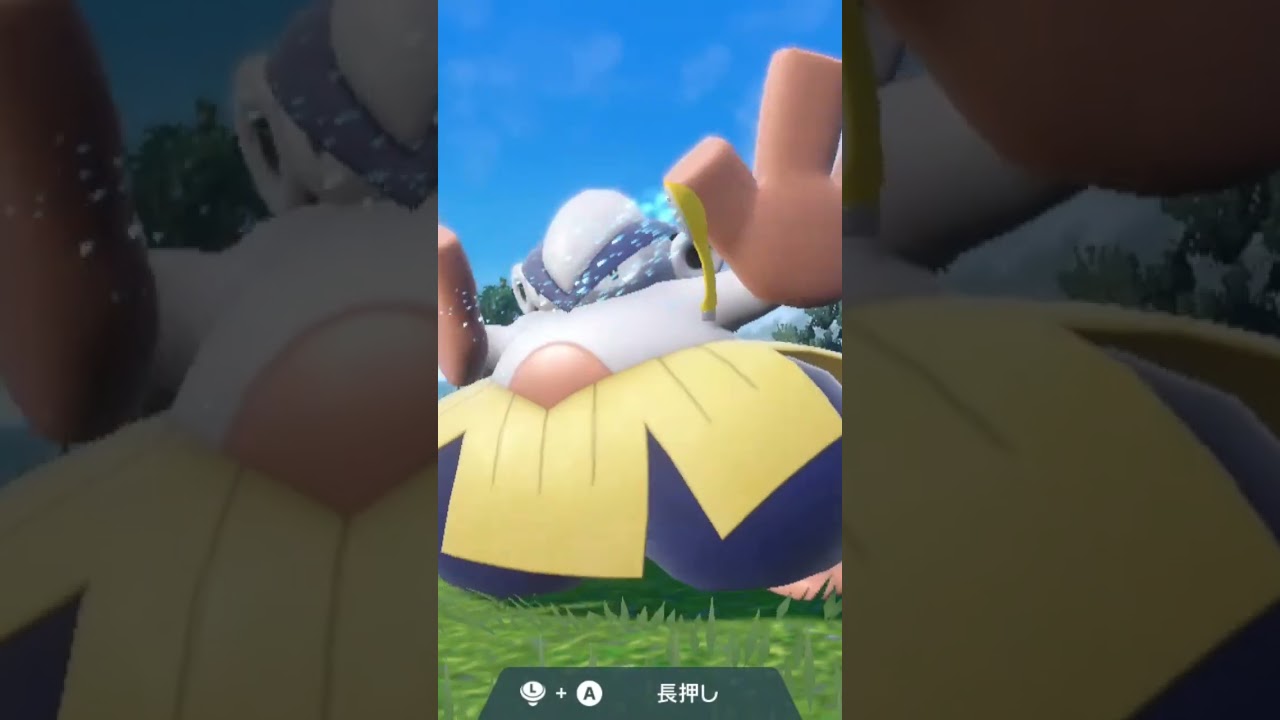 ハリテヤマ Hariyama【ポケモンsv】