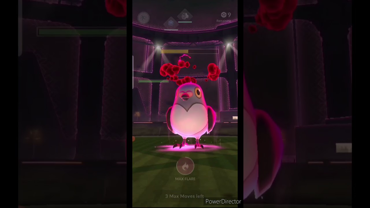 Little Pidove Pokémon Go D-Max !!