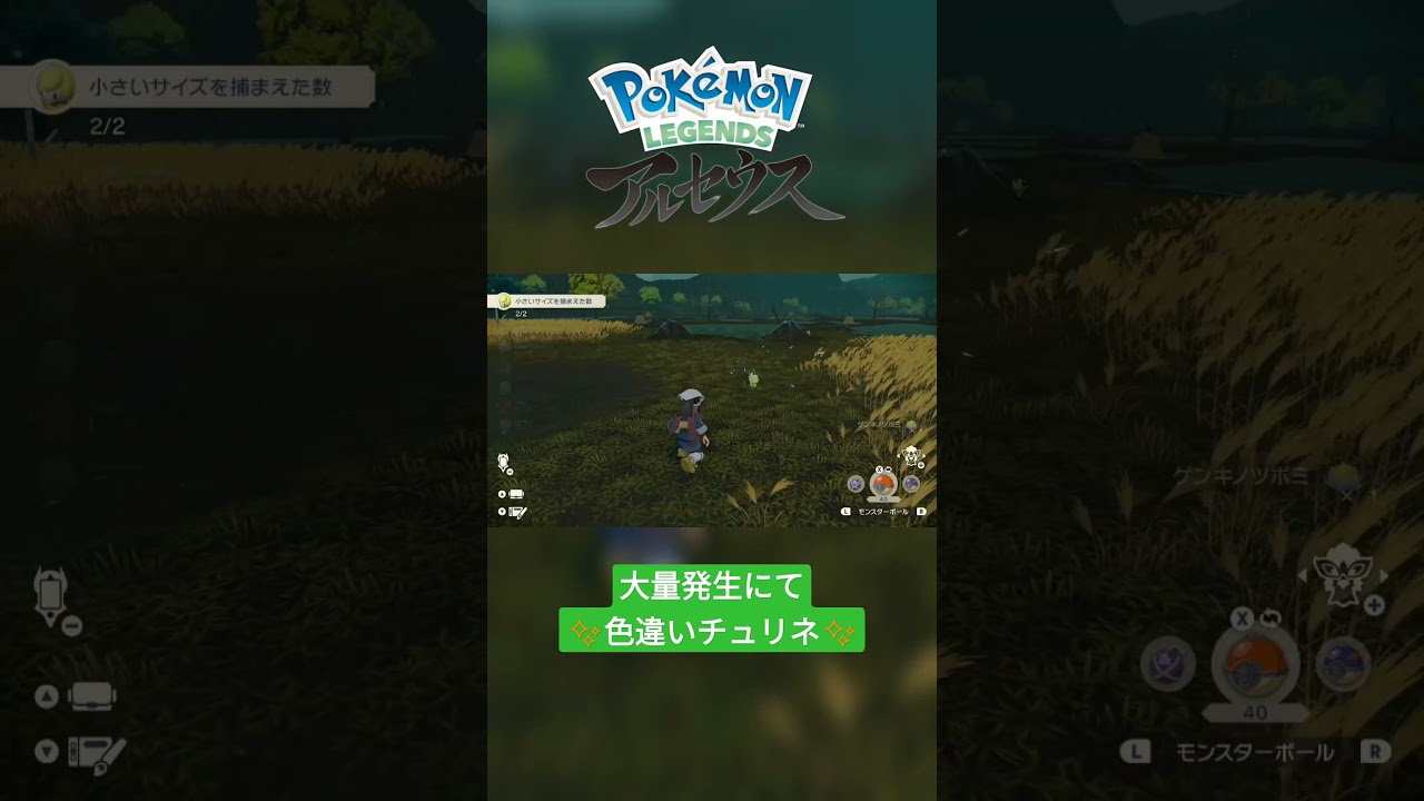 【色違い】Pokémon LEGENDS アルセウス『チュリネ』大量発生にて色違い✨ #shorts
