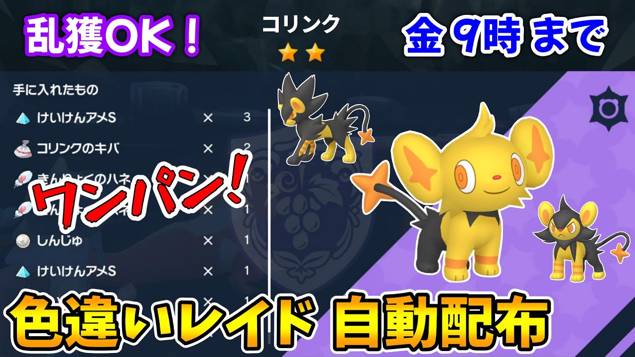 乱獲OK！コリンク色違いレイド自動配布会！【ポケモンSV】