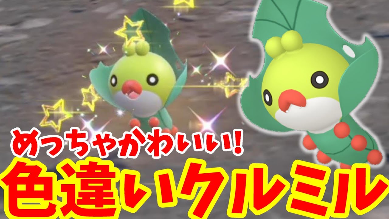【ポケモンSV】色違い確率アップ！クルミルを探そう！【ポケモンスカーレットバイオレット・ゼロの秘宝】