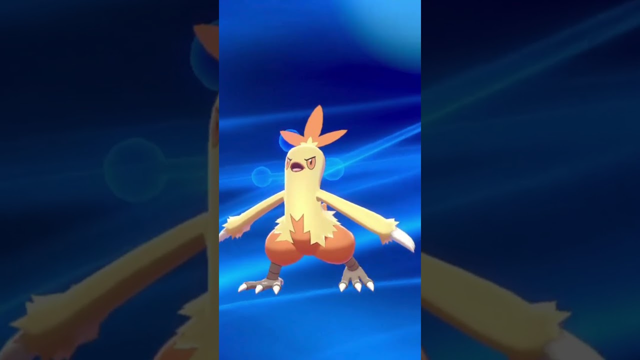 Linha evolutiva de Torchic no Pokémon Sword e Shield #torchic #combusken  #blaziken  #pokemon