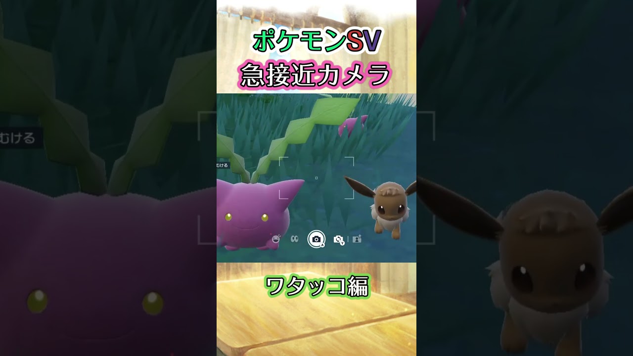 【ポケモンSV】重役出勤してくるワタッコを眺めるだけの動画 #ポケモン #ポケモンsv #ワタッコ #shorts
