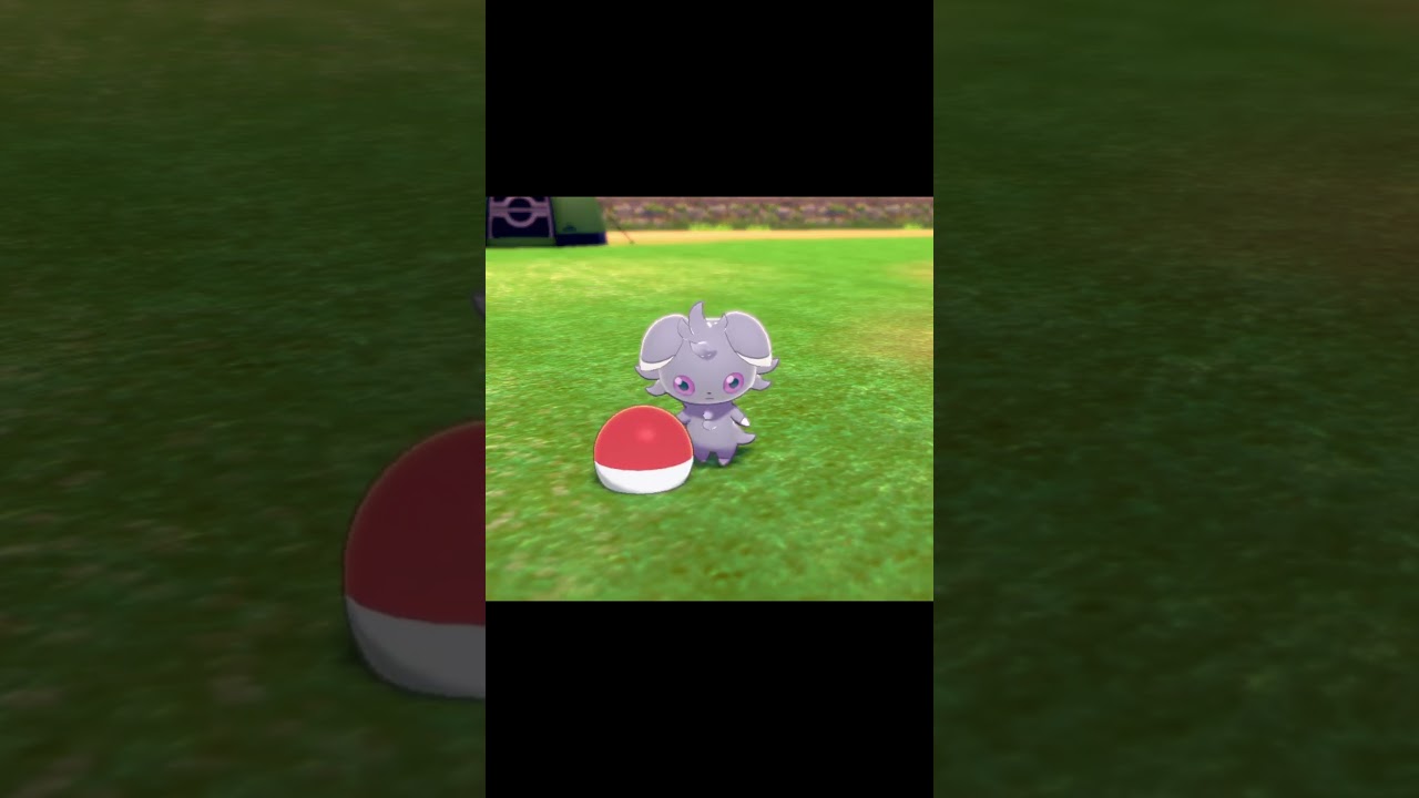 ボールを持って駆け寄ってくるニャスパー　#Shorts