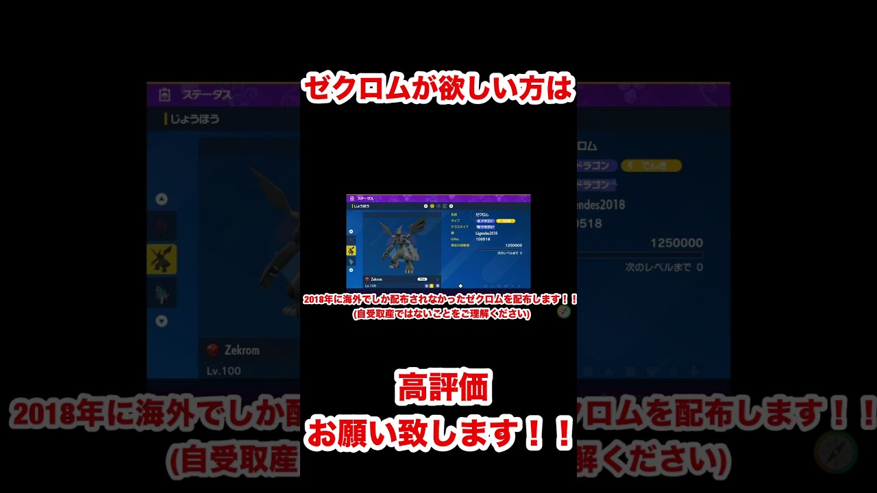 公式配布のゼクロムを受け取れ！！【ポケモンSV/スカーレット/バイオレット】#ポケモンSV #ポケモンスカーレット #ポケモンバイオレット
