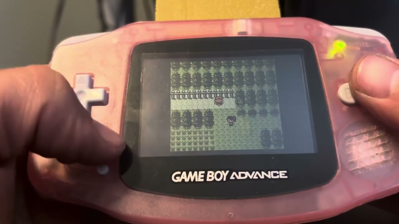 The Whole Team Overpowers Route 38 and 39