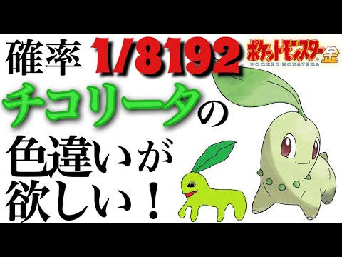 【ポケモン金】男が産めるの色違いだけ！チコリータの色違いが欲しい！I want shiny Chikorita