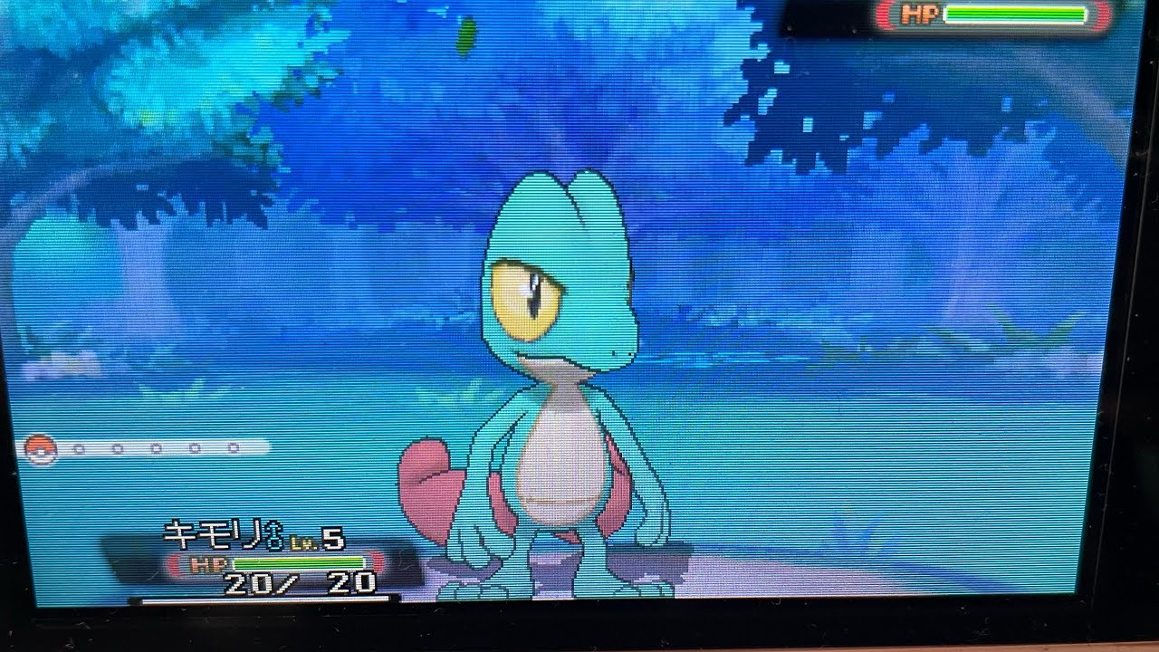 5239回目で色違いキモリを出した男